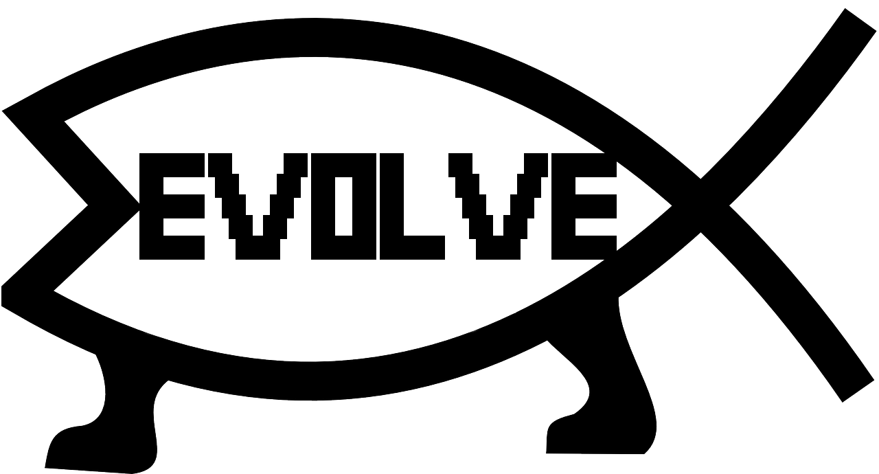 Home | Evolve Software